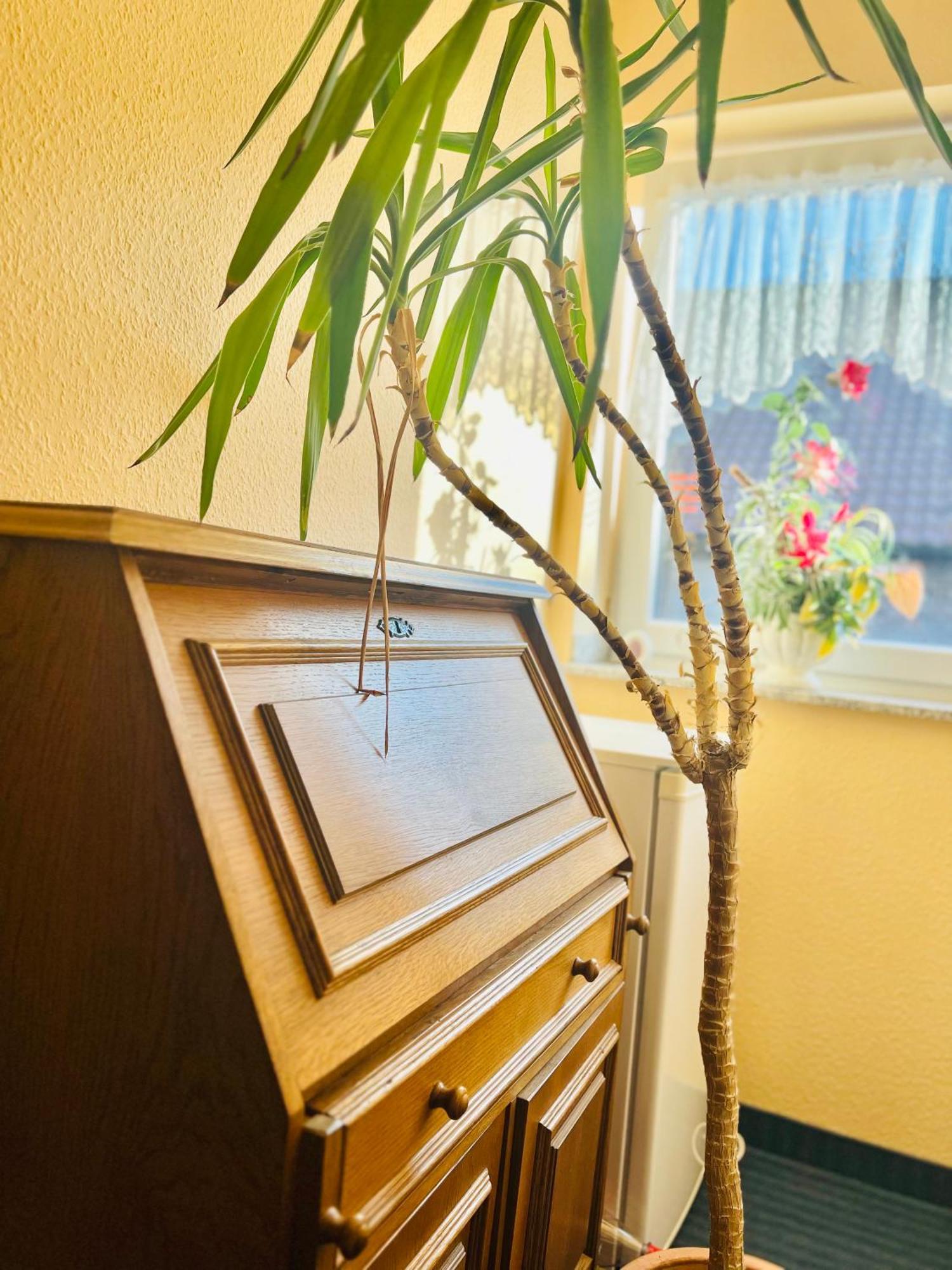 Tm Hotel Westfalen Lünen Kültér fotó